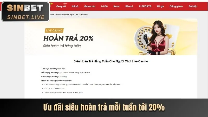 Tổng quan nền tảng Thiên Hạ Bet